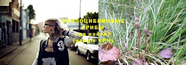 бутират Сатка