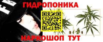гашик Северобайкальск
