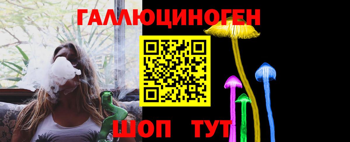 Псилоцибиновые грибы Magic Shrooms  где найти   Вход с VPN  Тара  Галлюциногенные грибы прущие грибы 