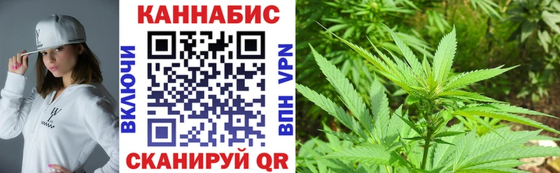 сколько стоит  Тара  маркетплейс как зайти  Каннабис VHQ 
